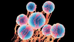 Illustrazione di cellule blu brillanti con una stringa arancione che le circonda