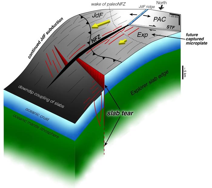 La zona di subduzione Cascadia, dove la placca nordamericana sovrasta le placche Juan de Fuca ed Explorer, si sta gradualmente spegnendo con lastre che si staccano mentre la placca rimanente continua a subdurre.