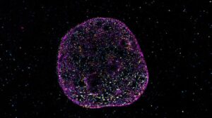 Gli scienziati scoprono un ‘codice geometrico’ nascosto che aiuta il DNA a calcolare e ricordare