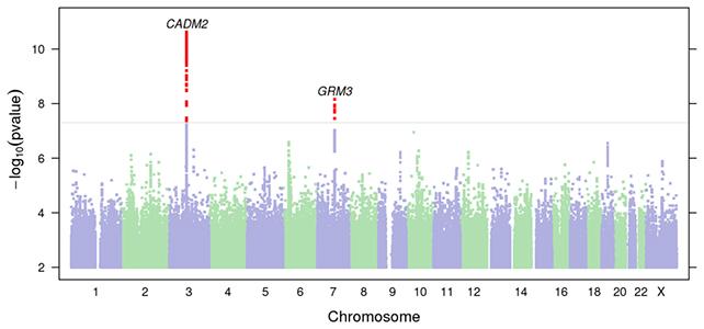 grafico del DNA