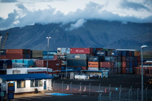 Le zanzare hanno iniziato a comparire in Islanda per la prima volta