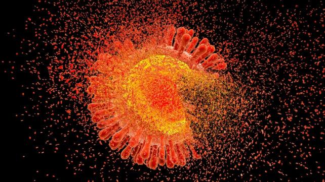 immagine computer HIV