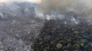 I record degli incendi in Amazzonia hanno bruciato un'area grande quanto il Belgio, emettendo 791 milioni di tonnellate di CO2