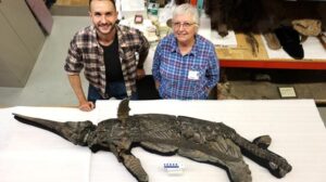 Drago con muso a spada che nuotava con i dinosauri trovato sulla Jurassic Coast del Regno Unito