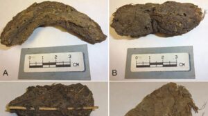 Feci secche di 1.300 anni rivelano malattie che afflissero i primi messicani