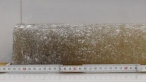 Gli scienziati statunitensi scoprono il ghiaccio direttamente datato più antico, conservato per 6 milioni di anni