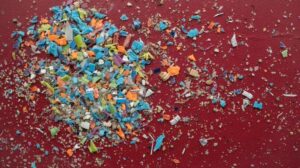 Le microplastiche trovate alterano i batteri intestinali legati al cancro e alla depressione negli esseri umani