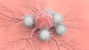 Cellule anti-cancro