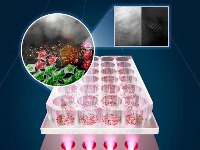 Illustrazione del sistema LED utilizzato per combattere il cancro
