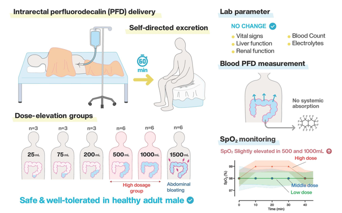 Le persone non hanno ancora imparato a respirare attraverso il loro sedere, ma lo studio ha dimostrato che il liquido vettore è sicuro, segnando un primo passo.