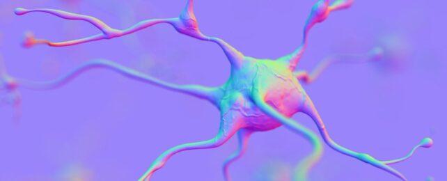 NeuronsSynthetic-642x260-1.jpg