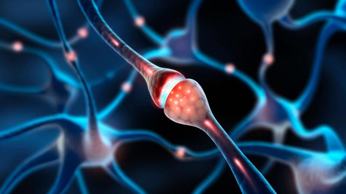 Il mistero di 50 anni risolto mentre la fotocamera nanotech della Cina cattura i neuroni ‘che si baciano’