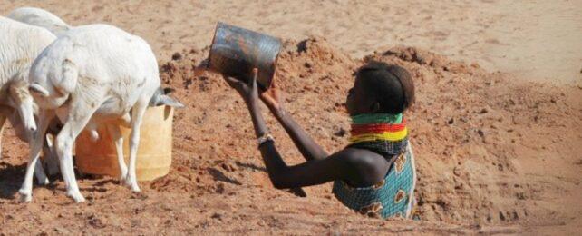 TurkanaWomenDiggingForWaterForAnimals-642x260-1.jpg