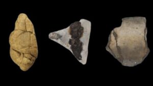Gomma da masticare di 6.000 anni fa rivela indizi sui ruoli di genere neolitici