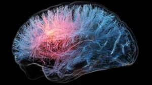 Questi due farmaci esistenti possono migliorare la salute del cervello, dicono gli scienziati