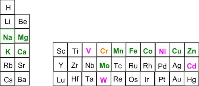Diagramma di colonne e righe selezionate della tavola periodica