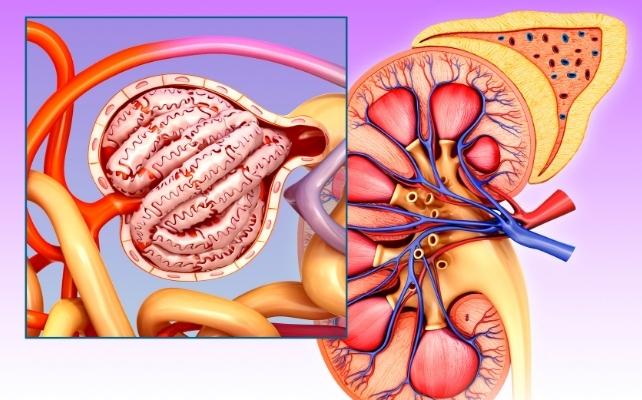 Problemi di urina: la tua pipì potrebbe prevedere il rischio di demenza