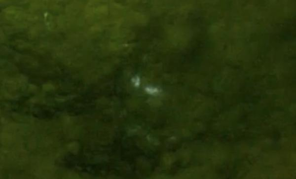 Le Luci Fantasmi Viste per Secoli Potrebbero Avere una Strana Spiegazione
