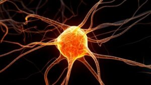illustrazione del neurone arancione