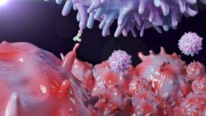 Rendering 3D di un anticorpo terapeutico inibitore del checkpoint che blocca la proteina PD-1 su una cellula T e ne impedisce il legame con PD-1L su una cellula cancerosa