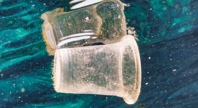 bicchiere di plastica nell'oceano