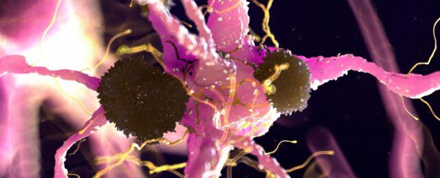 protein_clumps_AD_header-642x260-1.jpg