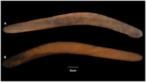 Un boomerang insolito del XIX secolo rivela la storia indigena dell'Australia, afferma lo studio