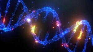 elica del DNA