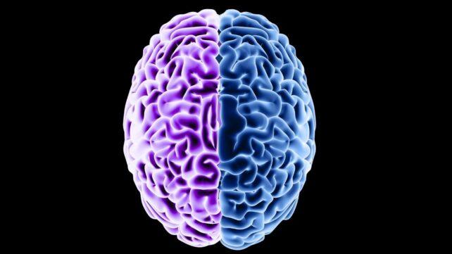 Brain-in-purple-and-blue-on-a-black-background-642x361-1.jpg