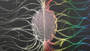Illustrazione del cervello umano che rappresenta l'emisfero sinistro con simboli matematici e l'emisfero destro con elementi artistici colorati, rappresentando il pensiero logico e creativo