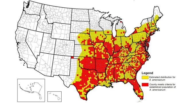 Distribuzione della zecca lone star nel sud-est degli Stati Uniti