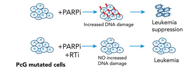 grafica del trattamento del cancro al DNA