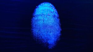 'Santo Graal' Scoperta Forense Solleva Impronte Digitali Da Bossoli