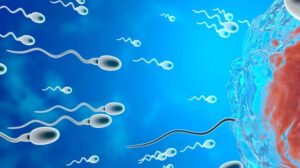 ‘STAR is born’: Una rivoluzione dell'IA aiuta un uomo infertile a diventare padre dopo 20 anni