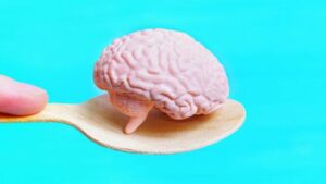 Mano che tiene un cucchiaio di legno con un modello in miniatura di cervello umano
