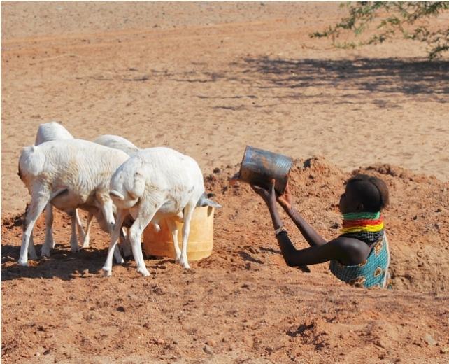 Donne kenyane locali in un buco fino alle ascelle che stanno pompando acqua per le capre