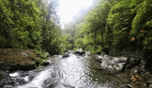 Il Darién Gap è una frattura tra i continenti nord e sud americano all'interno dell'America Centrale, costituito da un grande bacino idrografico, foreste e montagne.