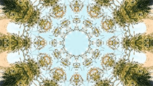 Visualizzazioni che tentano di catturare ciò che le persone vedono con il DMT.