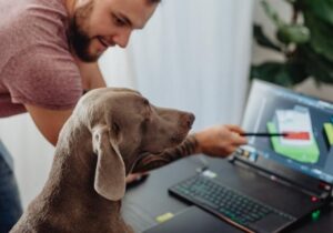 uomo che punta a uno schermo per mostrare il suo cane