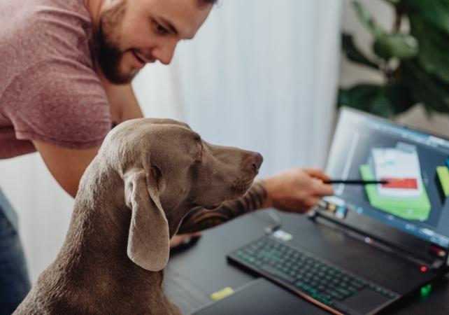 uomo che punta a uno schermo per mostrare il suo cane