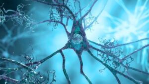 illustrazione di un neurone in tonalità di blu