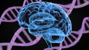 Cervello blu con doppia elica di DNA viola sullo sfondo