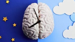 Cervello con orologio sullo sfondo diviso tra cielo notturno e cielo diurno