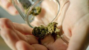 La sindrome da vomito legata alla cannabis è in aumento negli Stati Uniti