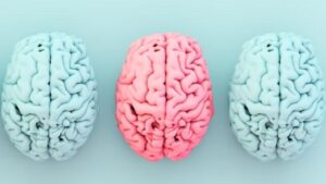 Rendering 3D ad alto contrasto di un cervello rosa con un cervello blu su entrambi i lati