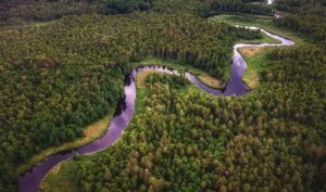 Fiume Amazon