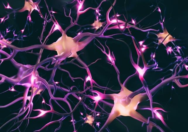 neuroni