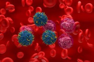 illustrazione di cellule T modificate che mirano a cellule bianche del sangue cancerose con uno sfondo di globuli rossi
