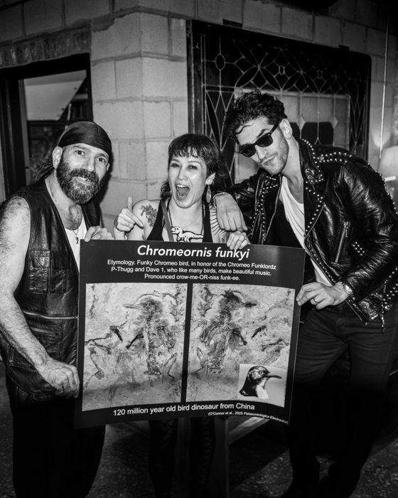 Chromeornis funkyi con chromeo