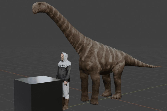 Il sauropode che ha fatto queste tracce non era tra i giganti, probabilmente perché non era completamente cresciuto. La sua dimensione ricostruita è stata confrontata con un essere umano.